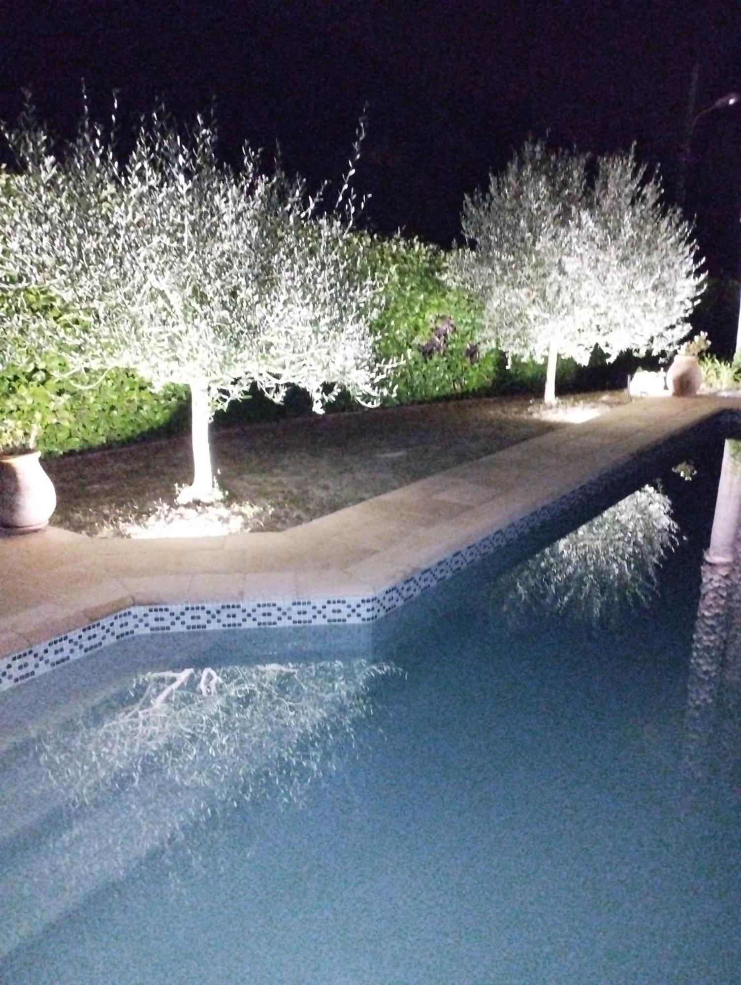 Au Vallon Rouge Saint-Paul-de-Vence Dış mekan fotoğraf