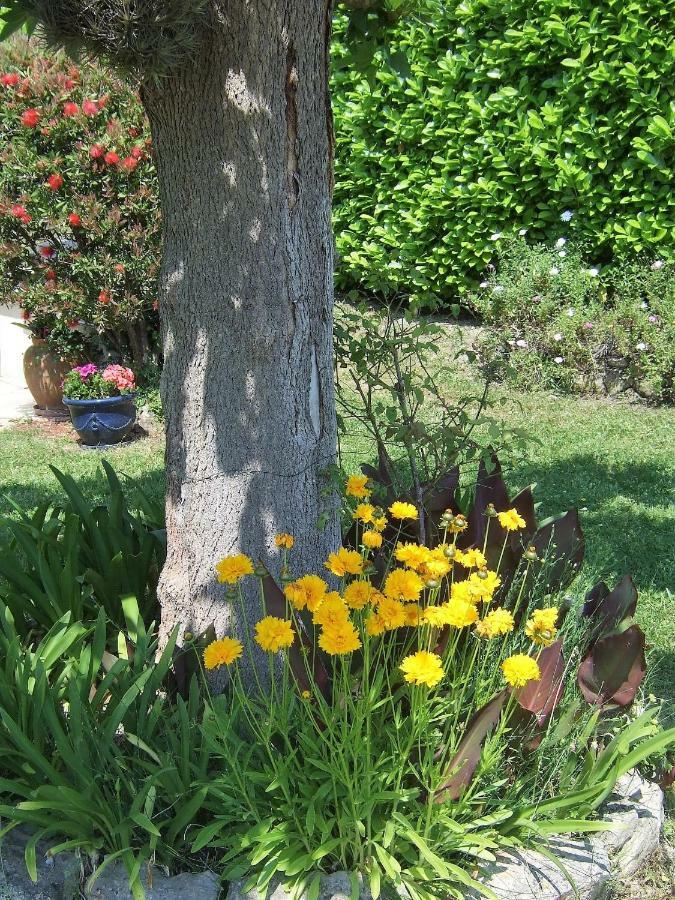 Au Vallon Rouge Saint-Paul-de-Vence Dış mekan fotoğraf